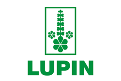 Lupin